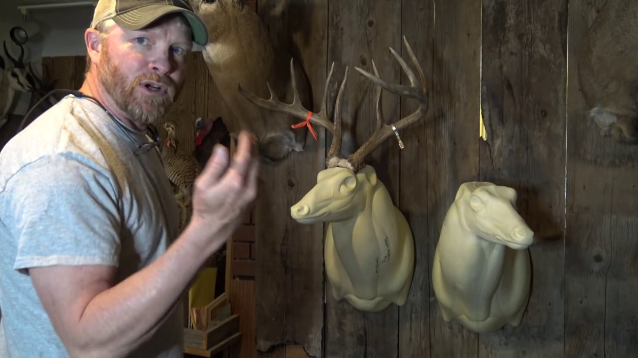 how much are deer heads worth